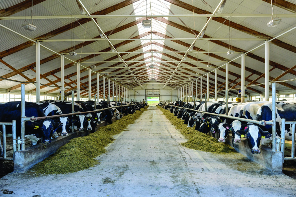 Limpiezas especiales de explotaciones ganaderas